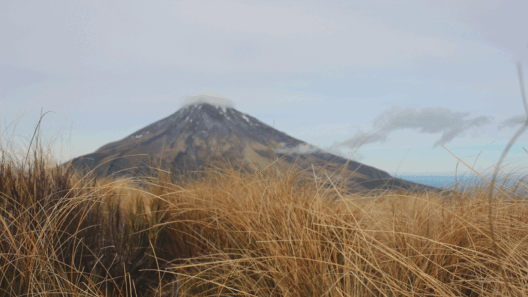 O conteúdo da verdadeira felicidade